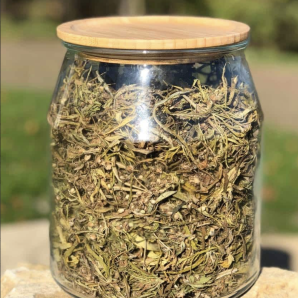 Biofarma Kaška